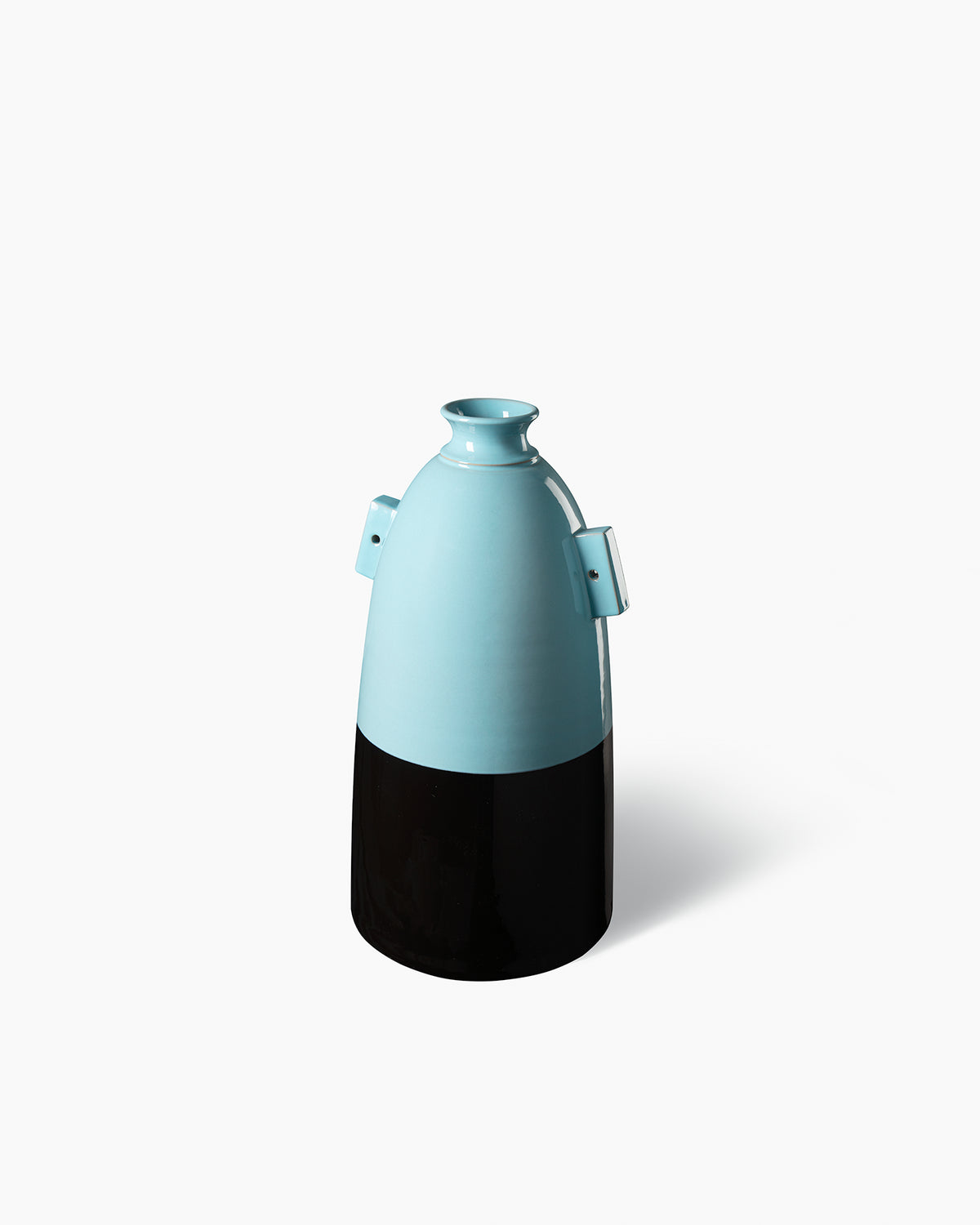 Vaso, 1973